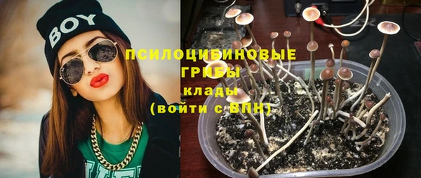 соль курить ск Алзамай