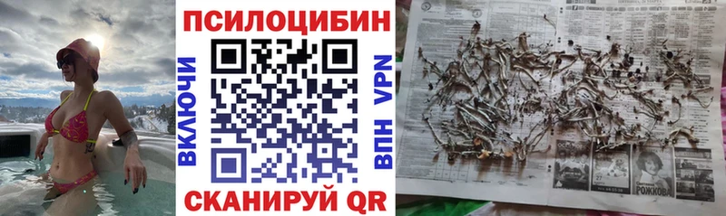 Галлюциногенные грибы GOLDEN TEACHER  Купить где  Высоковск 