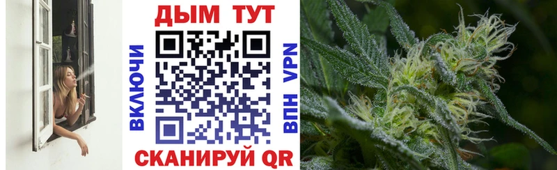 Купить  Высоковск  Конопля сатива 